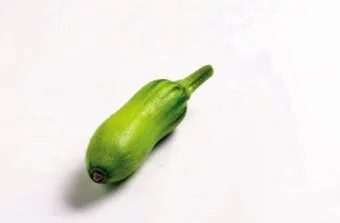 애호박 효능 여름철 보약 같은 채소 정리_11