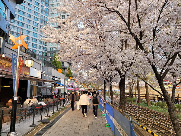 광교 호수공원 닭꼬치 '야키토리잔잔'