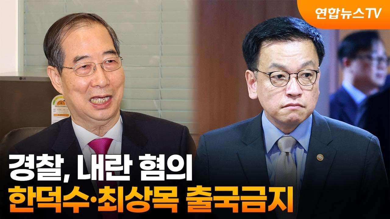 한덕수 최상목 출국금지 내란 혐의