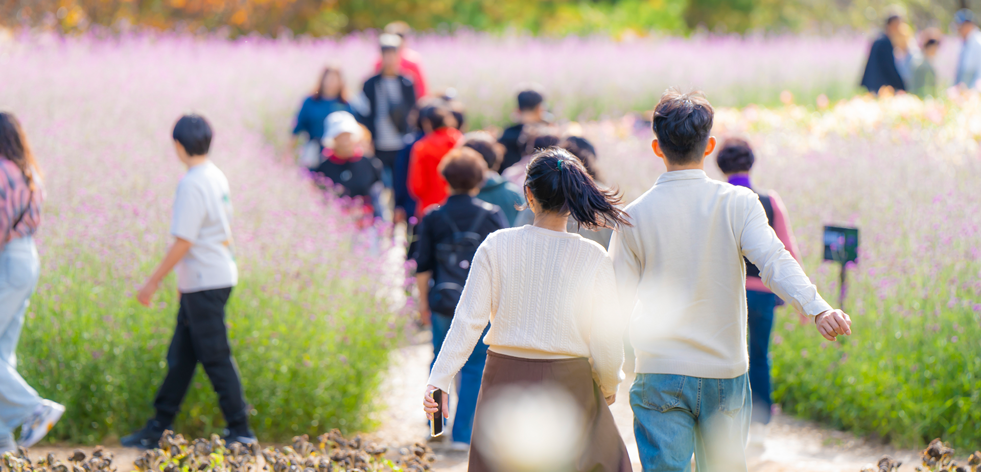 인제가을꽃축제 살펴보기 4