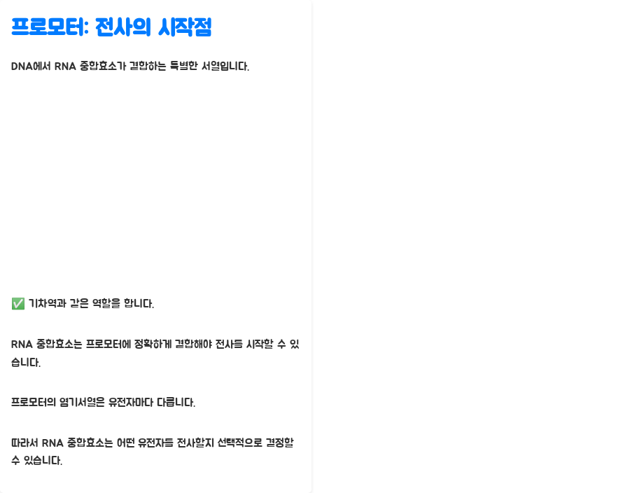 분자생물학: 세균 전사의 비밀, 핵심 기능 파헤치기! - 세균 RNA 중합효소: 전사의 지휘자 - 프로모터: 전사의 시작점 분자생물학: 세균 전사의 비밀, 핵심 기능 파헤치기! - 세균 RNA 중합효소: 전사의 지휘자 - 프로모터: 전사의 시작점