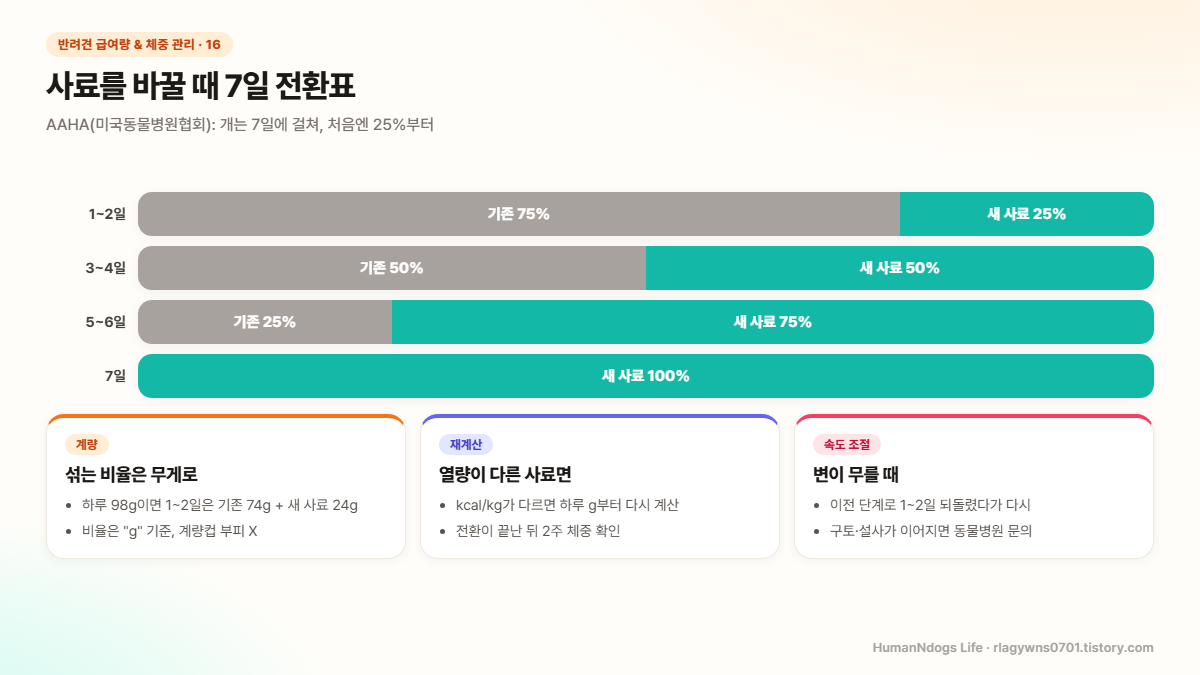 1~2일 새 사료 25%, 3~4일 50%, 5~6일 75%, 7일 100%로 바꾸는 7일 전환 막대와 무게로 섞기, 열량 재계산, 변이 무를 때 대처