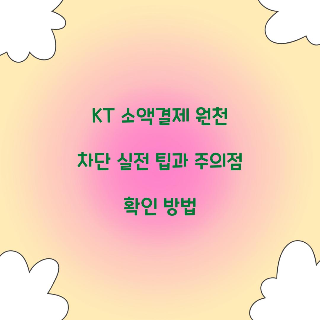 KT 소액결제 원천 차단