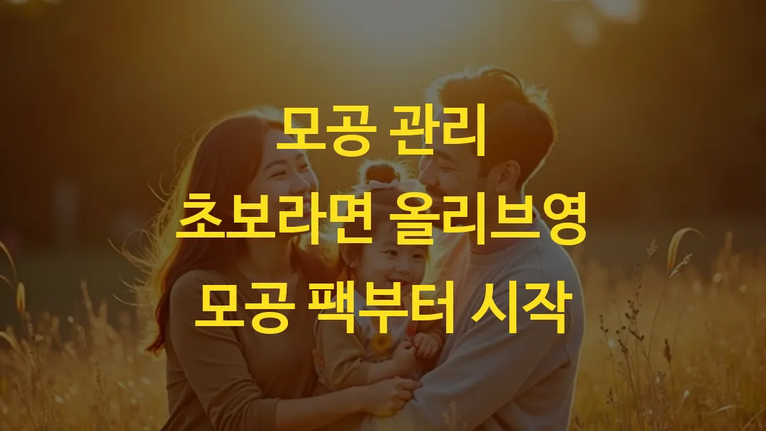 모공 관리 초보라면 올리브영 모공 팩부터 시작