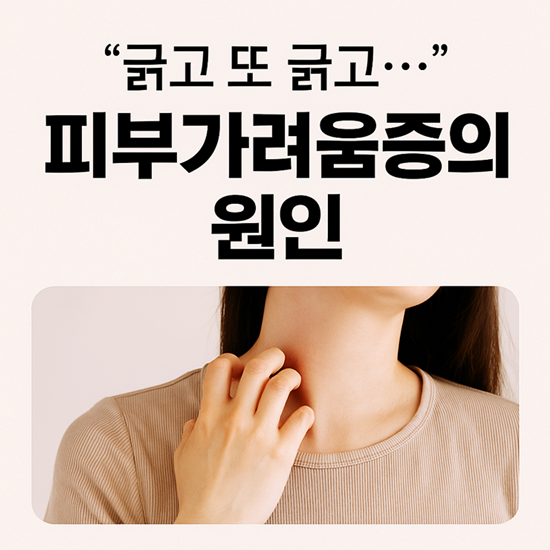 피부가려움증의 원인
