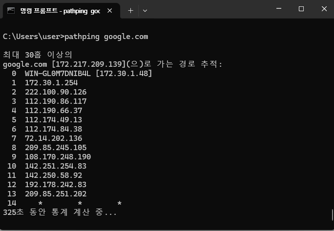 tracert와 ping의 장점을 합친 정밀 진단