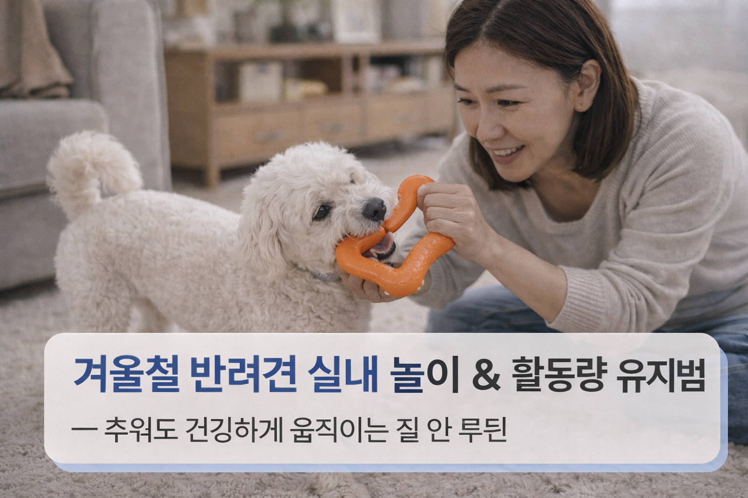 alt="거실에서 보호자와 놀이하는 강아지"