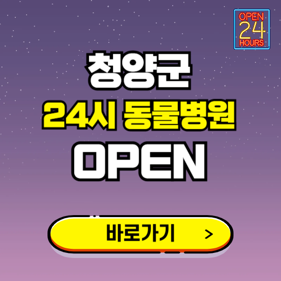 청양군 24시 동물병원 진료하는 곳 ❘ 설날 휴일 야간 심야 문여는곳 찾기 ❘ 응급진료