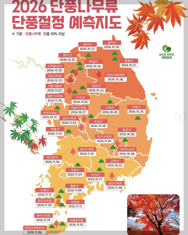 단풍