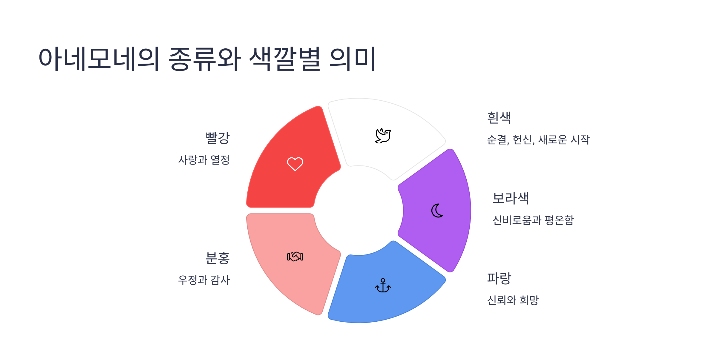 아네모네 사진