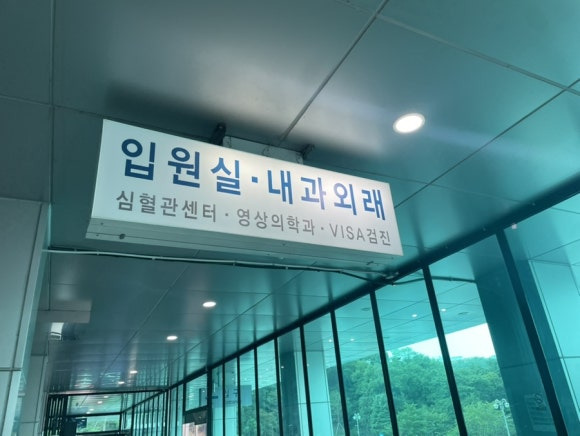 VISA 검진