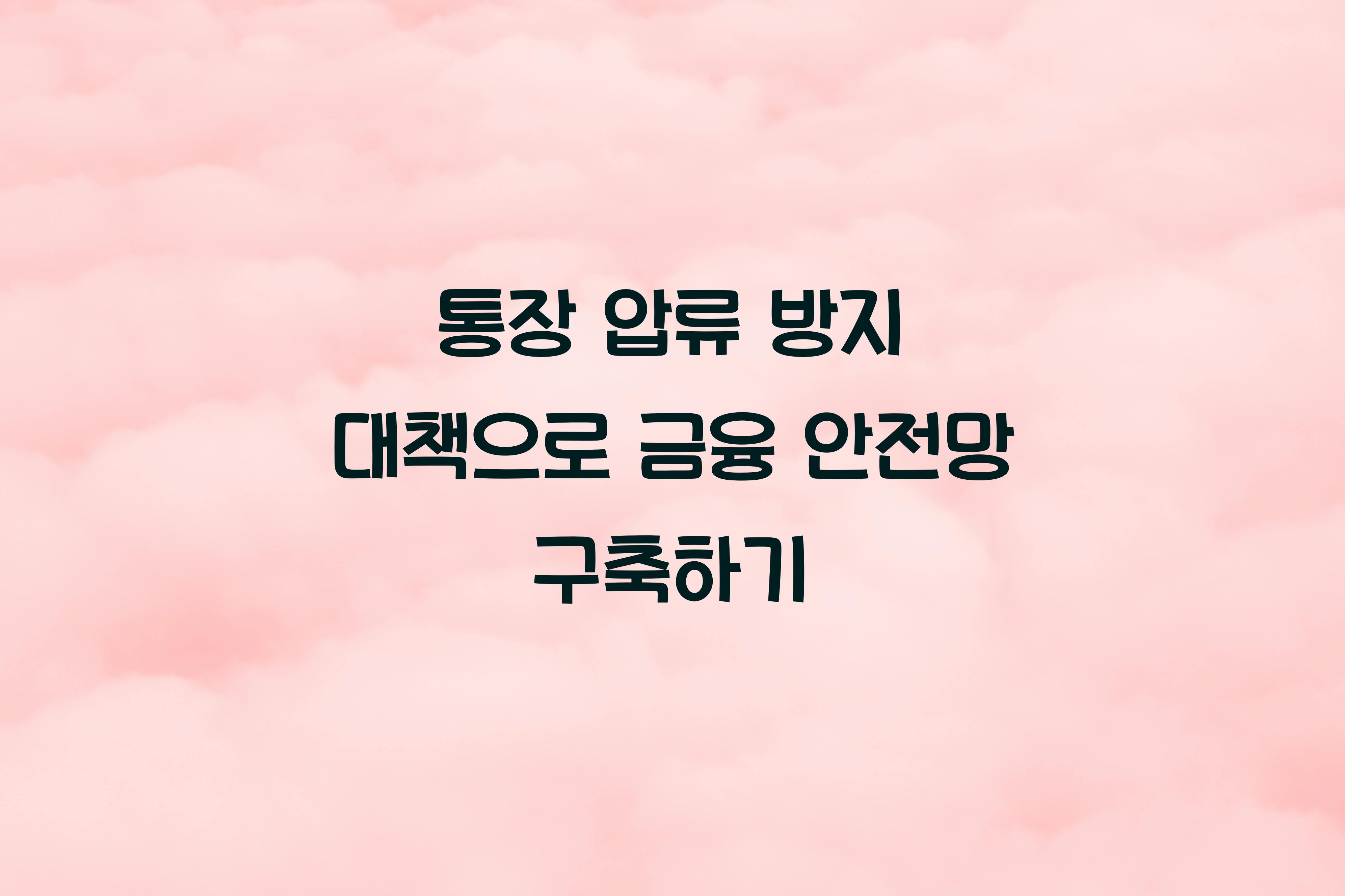 통장 압류 방지 대책