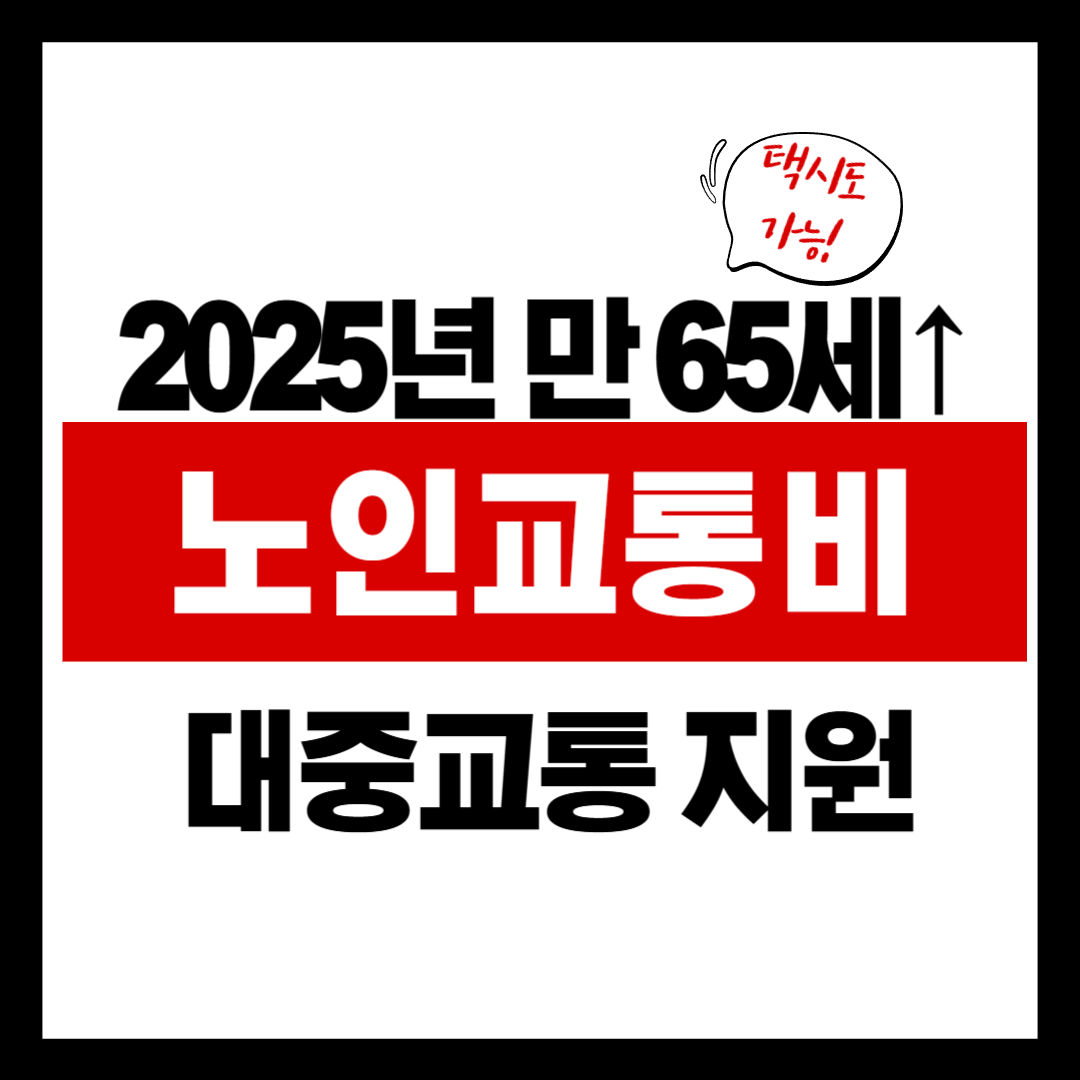 2025년부터 달라지는 노인 교통 지원 정책 한눈에 보기