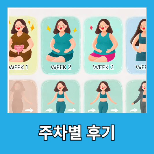 다이어트 주차별 후기