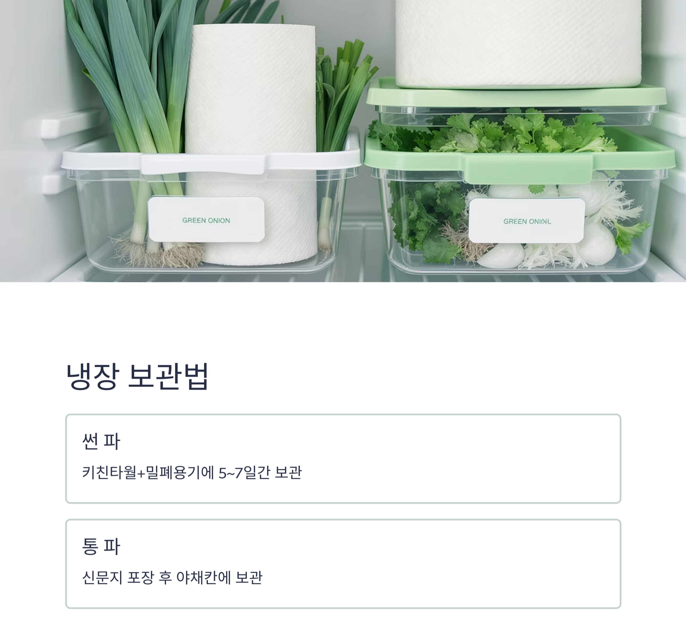 요리 초보도 쉽게! 파 손질 후 냉동·냉장 보관법 완전정복