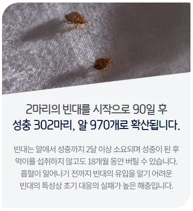 세스코 빈대 번식