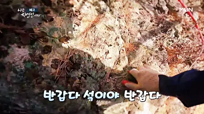 나는-자연인이다-이승윤