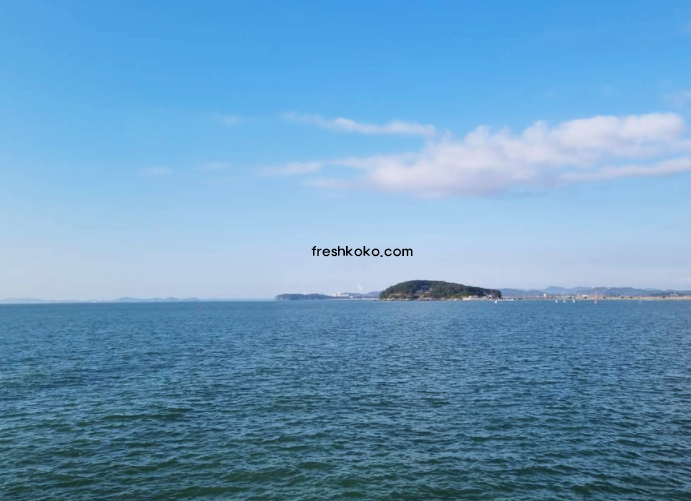 보령 가볼만한곳