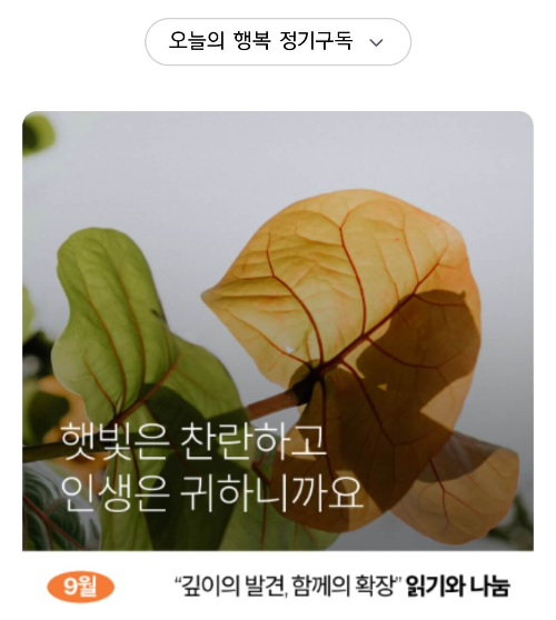 햇빛은 찬란하고 인생은 귀하니까요