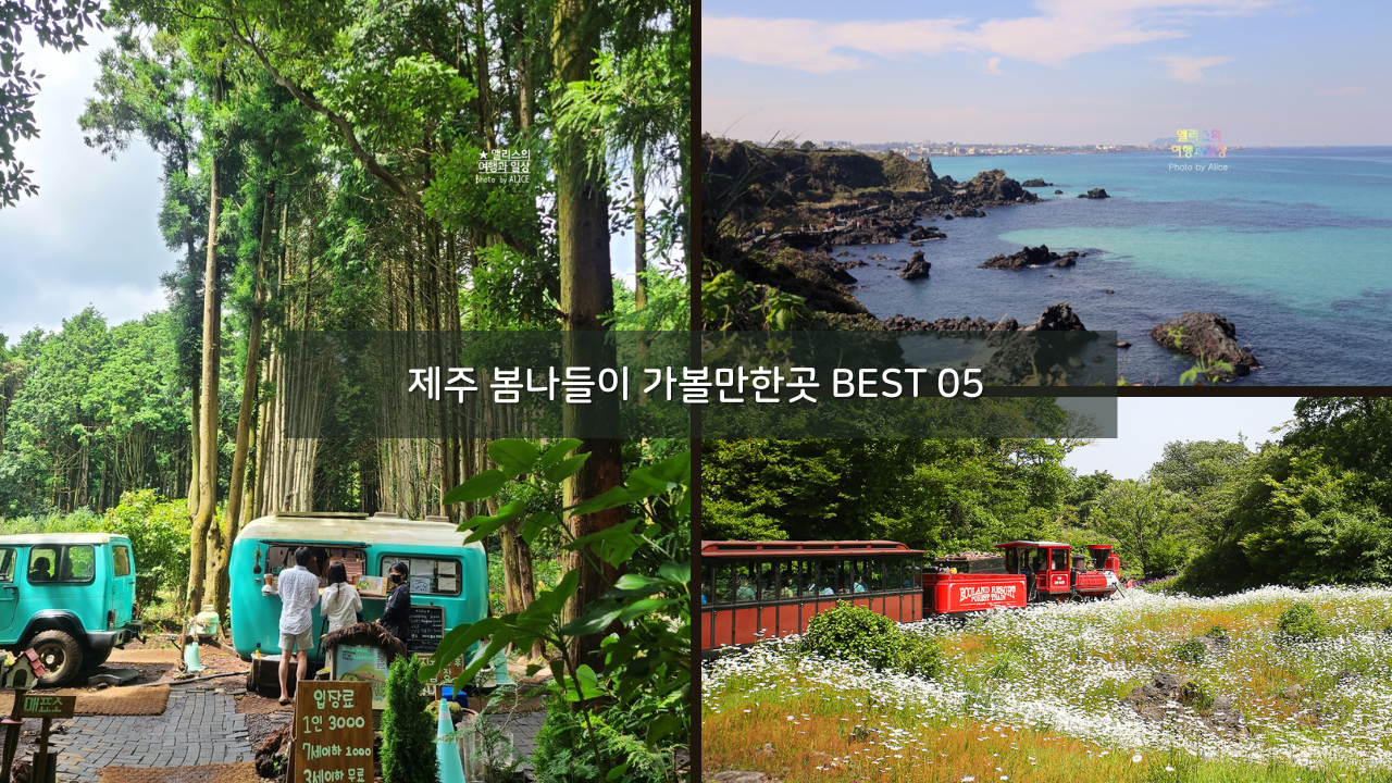 제주 봄나들이 강력추천 가볼만한곳 BEST 05 인생사진 남기기