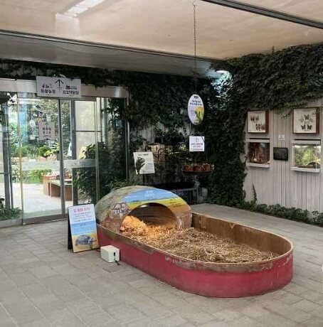 용인 가볼만한곳 베스트 10