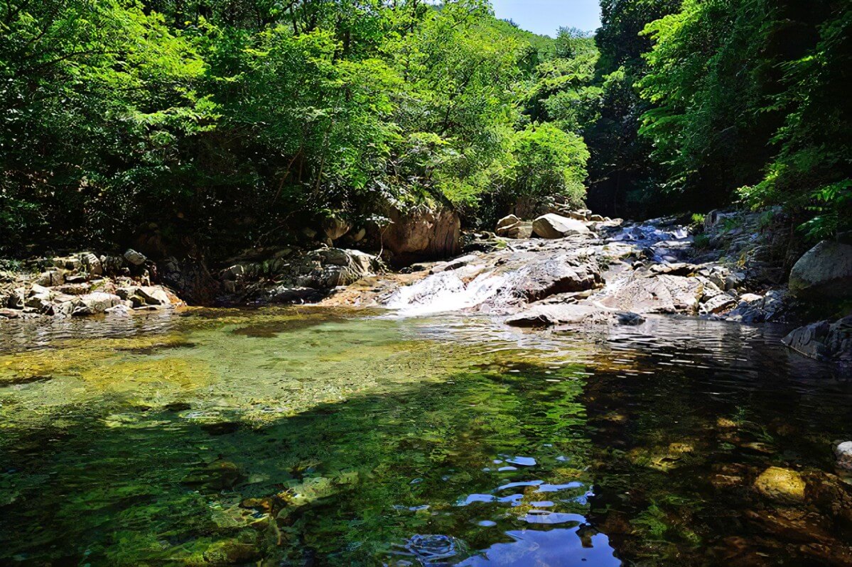 서울근교 아이들과 갈수 있는 계곡 추천 TOP5