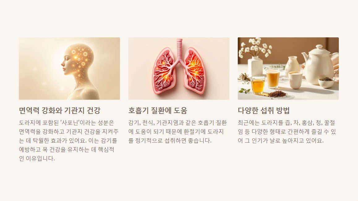 1. 도라지에 주목해야 하는 이유