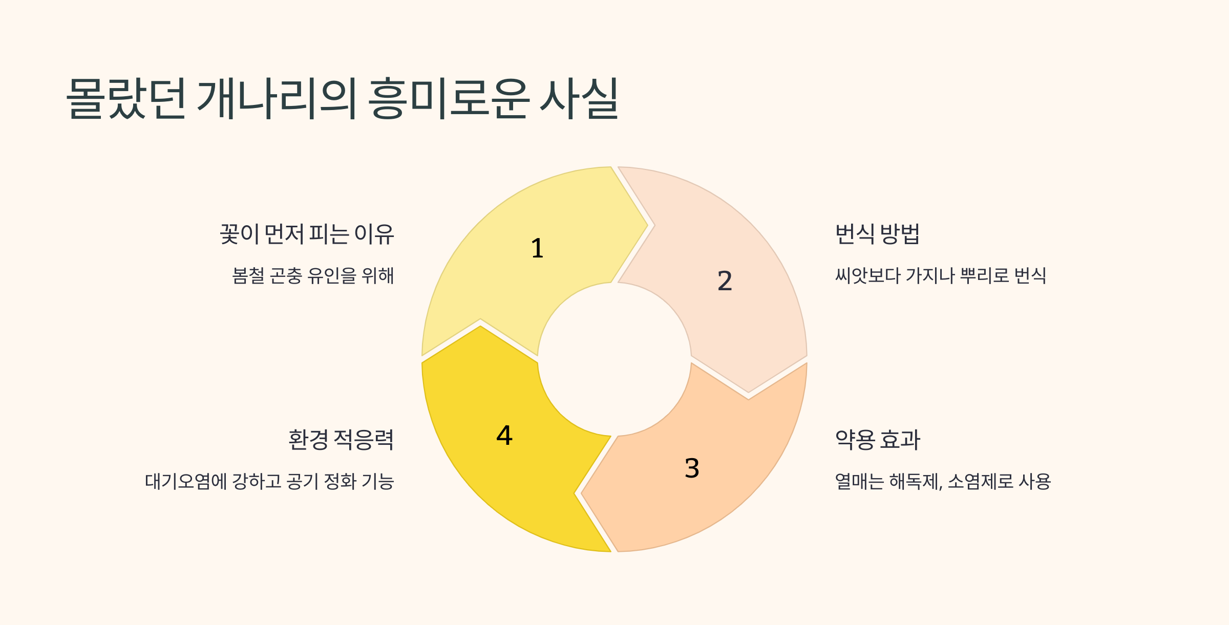 개나리꽃
