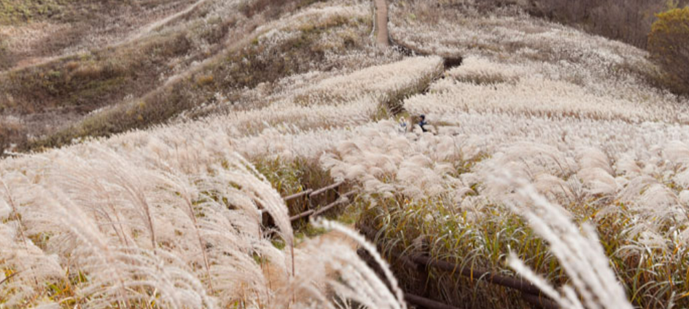가을 억새, 단풍 산행지 추천