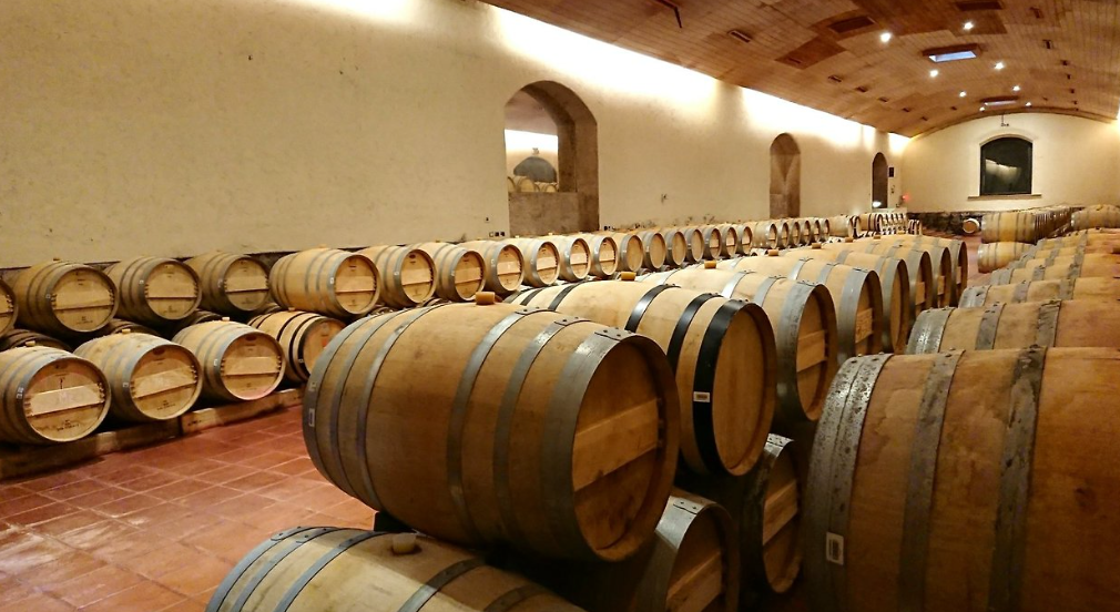 콘차 이 토로 내 숙성중인 와인 오크통 사진