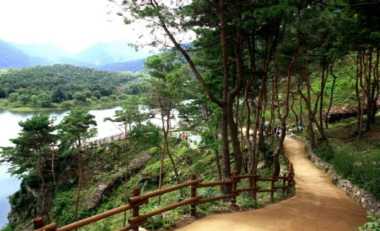 걷기좋은 숲길 50 서울 전남 경북_1