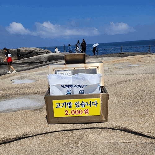 물고기 밥