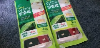 좀벌레 퇴치약 종류 원인 퇴치방법 완벽 가이드_25