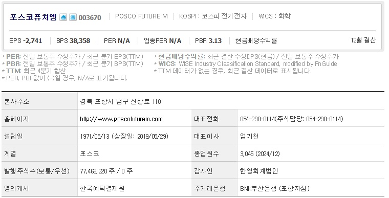 포스코퓨처엠 주가 기업개요 (0514)