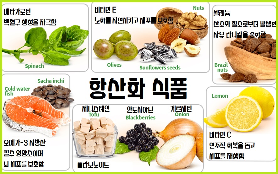 항산화제 항삼화식품