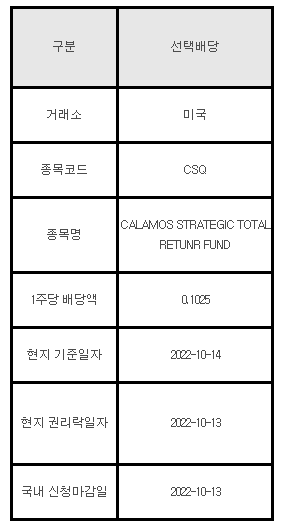 미국주식 선택배당 안내 CSQ