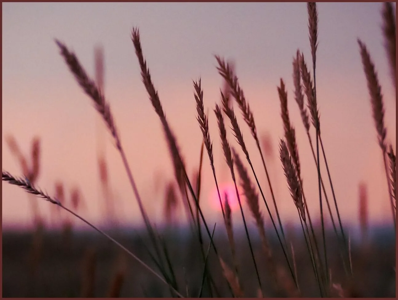 하나은행 정기예금 금리