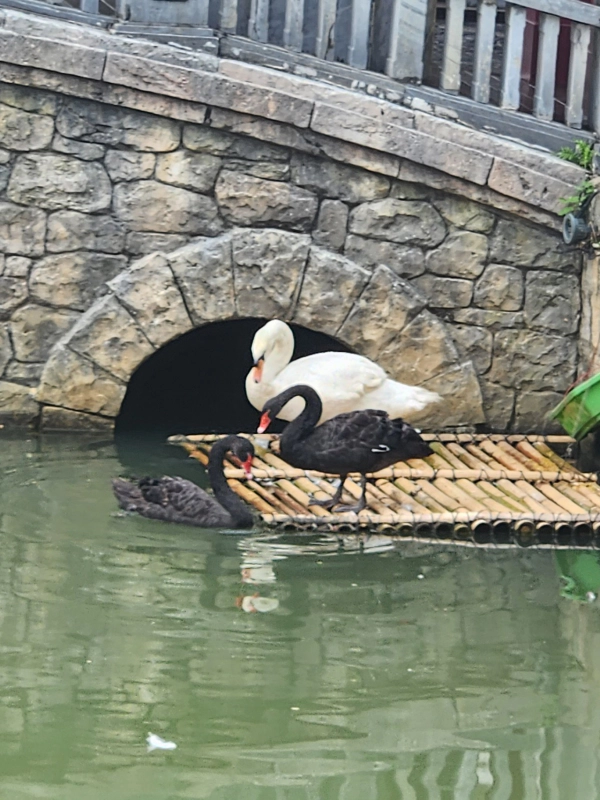 베트남 다낭 바나힐