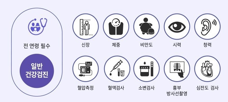 일반적인 검진 항목
