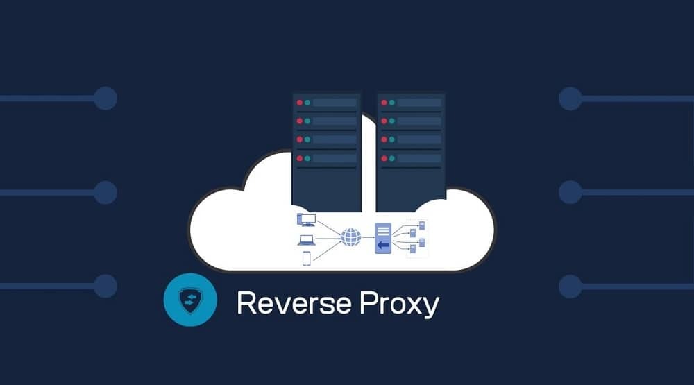 Reverse Proxy-Forward Proxy
