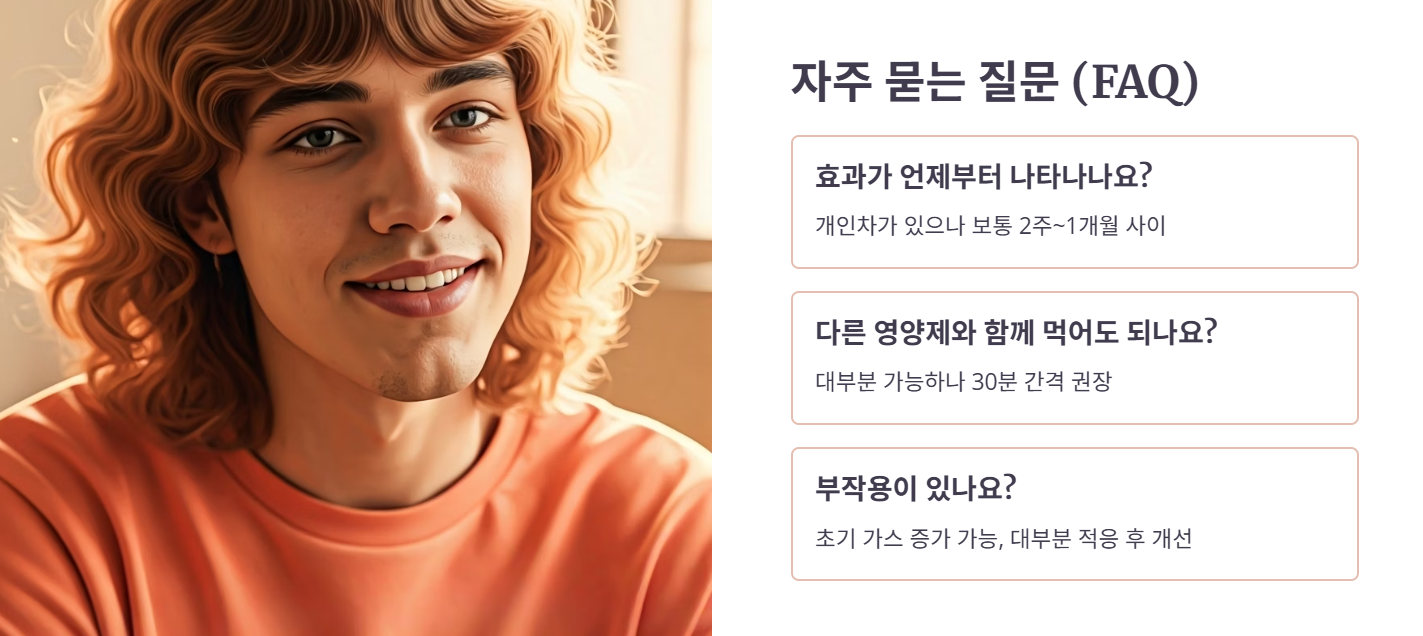 자주 묻는 질문(FAQ) 총정리