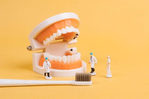 임플란트 시술 후 관리법, 오래 쓰는 사람들의 공통 습관