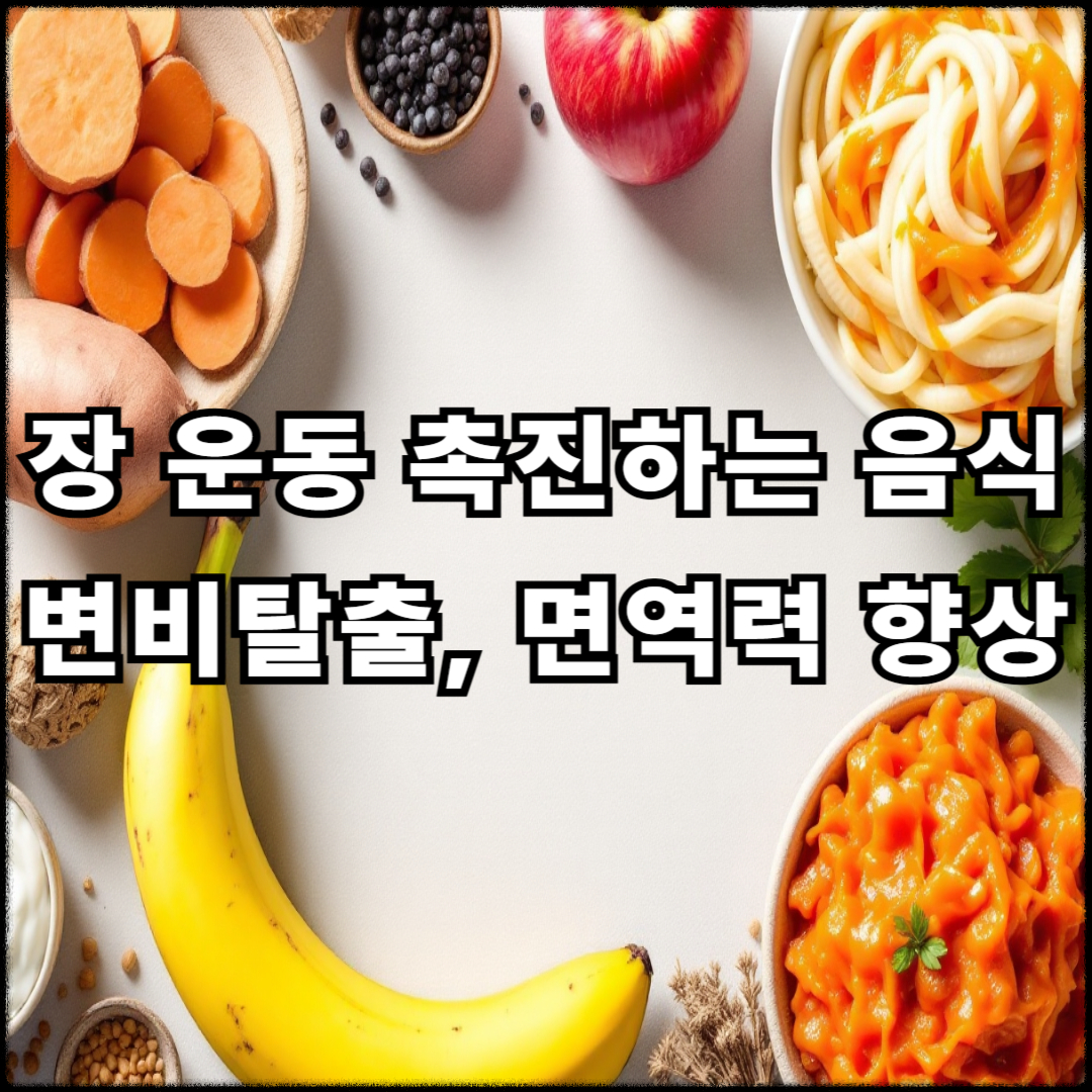 장 운동 촉진하는 음식은 따로 있다? 장 튼튼해지는 식이섬유 조합