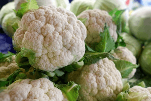 유방암에 좋은 음식05