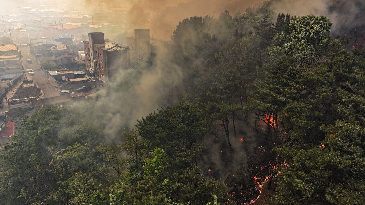대구북구 함지산 산불, 대응 2단계 발령…민가까지 확산