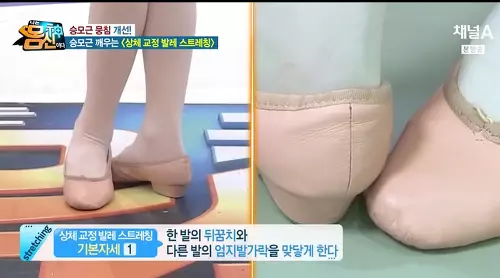 상체 교정 발레 스트레칭