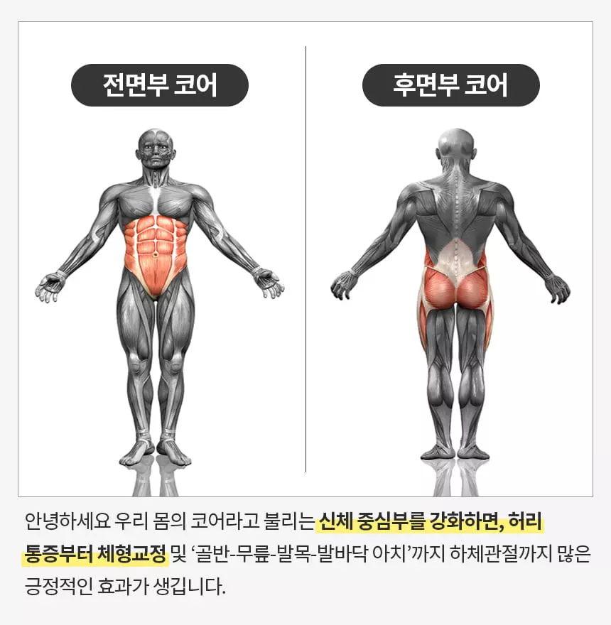 코어 근육