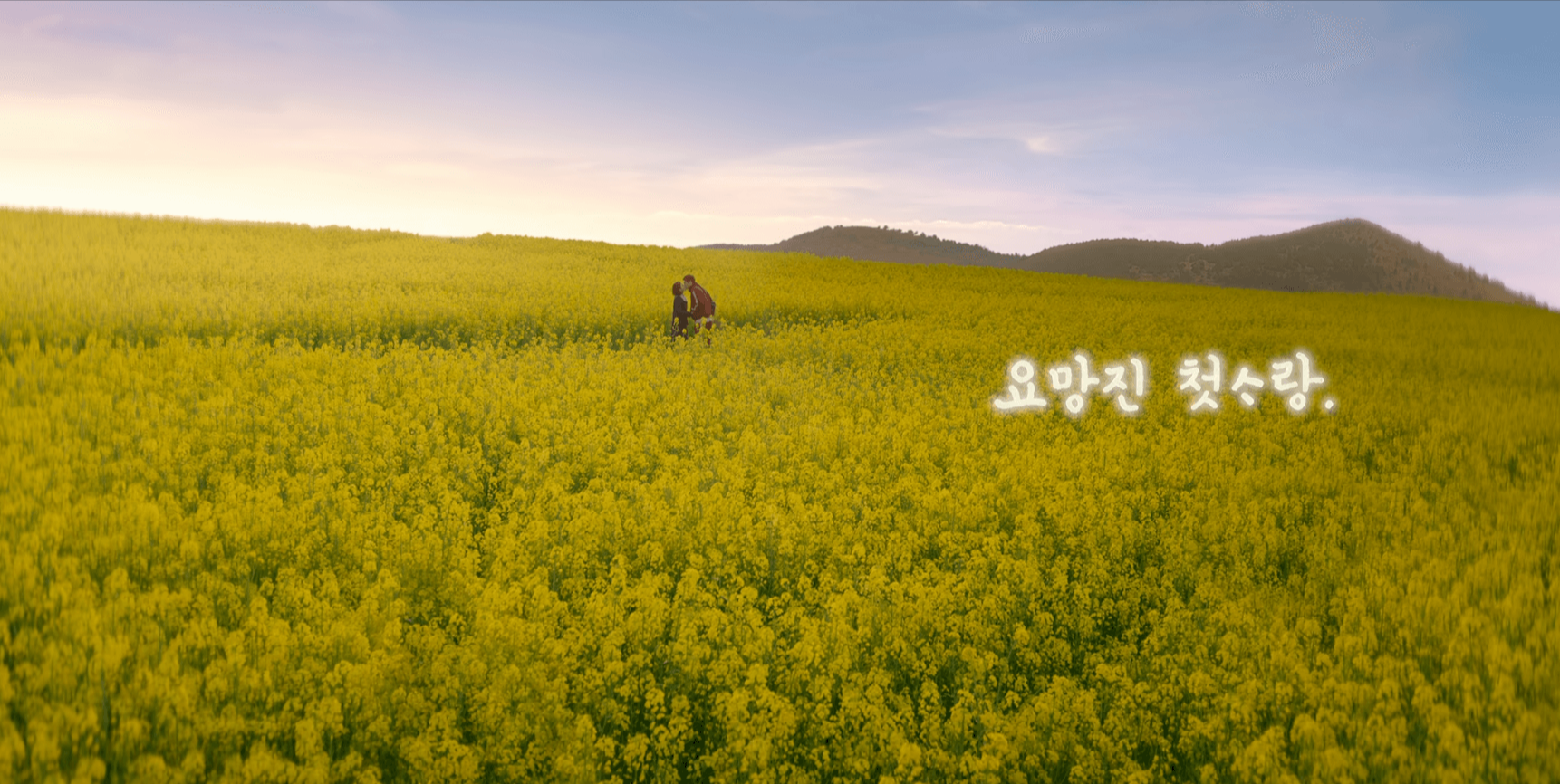 샛노란 유채꽃밭 가운데에서 뽀뽀하는 관식과 애순.