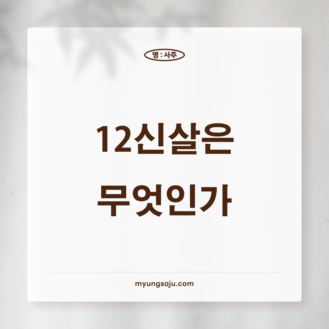 12신살의 종류와 의미