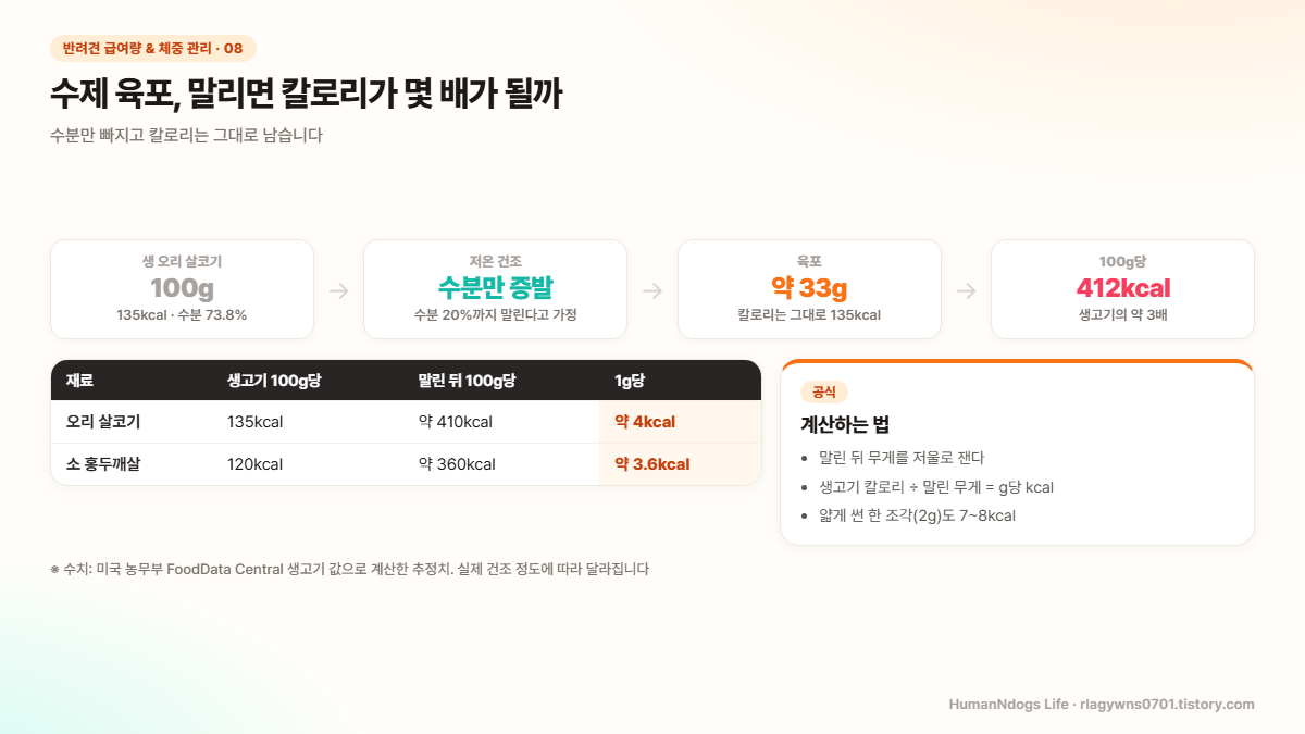 생 오리 살코기 100g 135kcal이 저온 건조 후 약 33g이 되고 100g당 412kcal로 약 3배가 되는 과정과, 오리 살코기와 소 홍두깨살의 건조 전후 칼로리 비교표